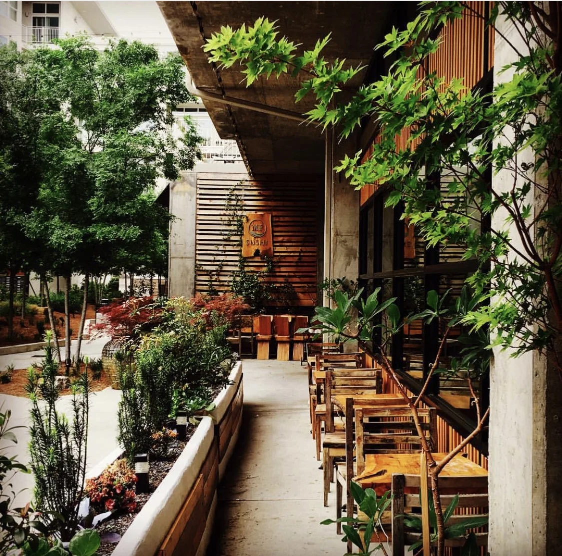 sound forest ／ banbi(sumika) Nakamoto Forestry on GB&D - Paxson Fay